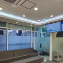 오십견의 원인과 비수술적 치료 이미지