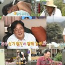 찐라이프