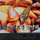 햇양파장아찌.양파식초만들기 이미지