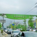 양평-양서-양서-01 네이버블로그