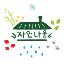 심원초등학교 이미지