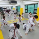 미르 태권도 이미지