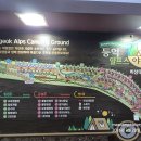 울주공연배달 1회차 | 등억 알프스 야영장 사이트 시설 후기입니다