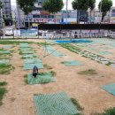 디자인펫샵 이미지