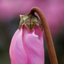 태평역 동물병원 이미지