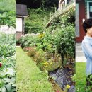 꽃향기정원 이미지