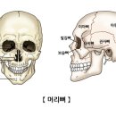 두개의 조각 이미지