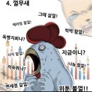 마스터스(Master's)