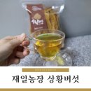 재일농장 이미지