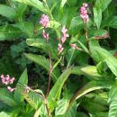 김밥공방 이미지