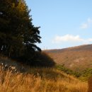 이박목장 이미지