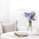 성지약품(주) 이미지