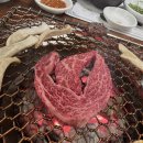 한우힘센놈 이미지