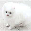 나영수퍼