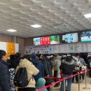 송정천체육공원 | 축제) 겨울 체험 축제, 평창송어축제 상세 정보 후기, 송어 잡는 꿀팁, 송어 못 잡아도 송어 받을 수...