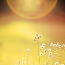 기쁨피아노 이미지