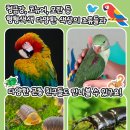 테라리움동물병원 이미지