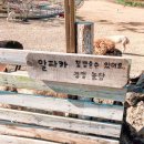 신의목장 이미지