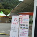 영광 | 전남 영광 축제 &#39;영광 불갑산 상사화축제&#39; 다녀온 후기(행사장, 주차 정보)