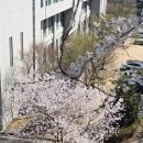 메이탄 고덕어반그로브점 네이버블로그