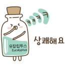 건강힐링센터_강의실 이미지