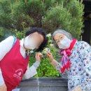 미소들 노인복지시설 | 대구 북구 칠곡 주간보호센터 ♥ 미소노인복지센터