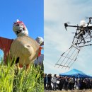 참새&허수아비 이미지