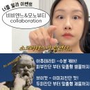 비비엔느 헤어살롱