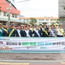 일단정지 이미지