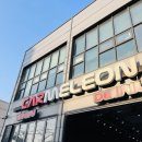 카멜레온 디테일 이미지