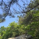 도시풍경 | 삼성산 등산 후기2 (안양생태예술공원-국기봉-삼성산-상불암)