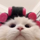 썸PC방 | 약 1억 년만에 올리는 22살의 2月 일상 !!