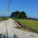 여수산단주유소 이미지