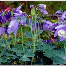 산매농장 이미지