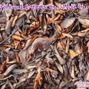 아이비오토캠핑장 이미지