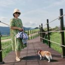 한우목장 이미지