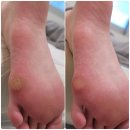 레푸스 | 🌿천안 레푸스 두정점 방문 후기 🌿