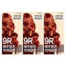 자연이랑 이미지