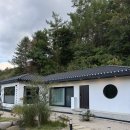 스테이 누누 이미지