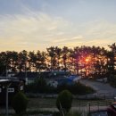 감포 더 고아라 비치 펜션 이미지