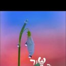 맑은아침 - 공주시 | 맑은아침