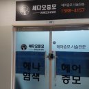 쎄다모