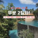 발리 신혼여행 3편 l 정글 속 우붓, 더 카욘 정글