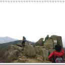 돌산공원 정상 Daum카페