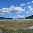 남파랑길 13코스 (배둔시외버스터미널 ~통영황리 사거리) 250906 이미지