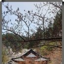 강릉 탑 공인중개사사무소 이미지