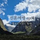 디스커버리투어 | [9박 10일 신혼여행] ep.4 밀포드사운드 투어 (서던디스커버리 당일버스투어 후기)