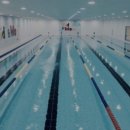 키즈앤맘 어린이전용수영장 이미지