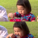 신우푸드 스포츠경향