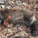 가창파출소 이미지